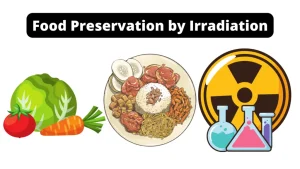 Food-Preservation-by-Irradiation-1024x576