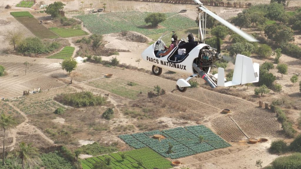 tsetse fly population in parts of Senegal